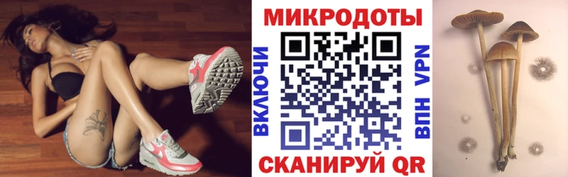 Псилоцибиновые грибы Cubensis  цена наркотик  Горняк 